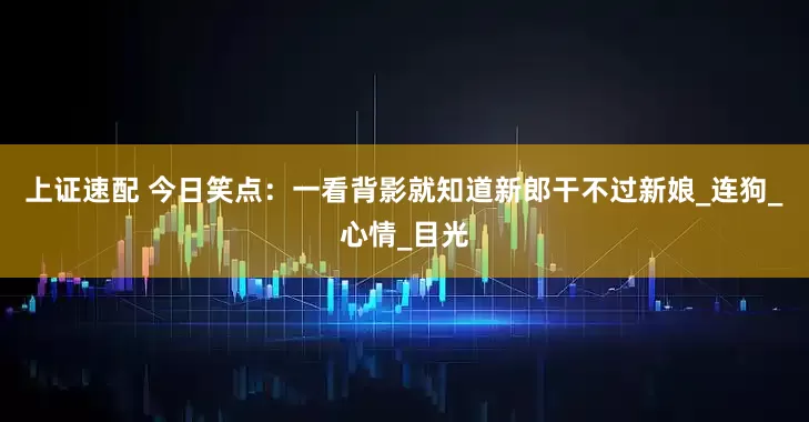上证速配 今日笑点：一看背影就知道新郎干不过新娘_连狗_心情_目光