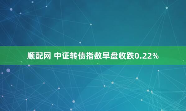 顺配网 中证转债指数早盘收跌0.22%