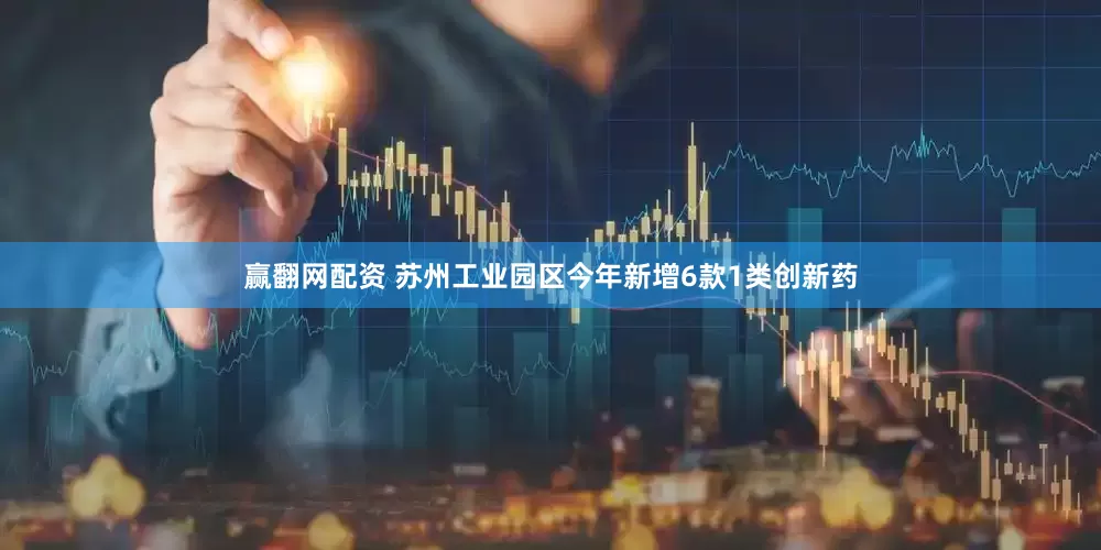 赢翻网配资 苏州工业园区今年新增6款1类创新药