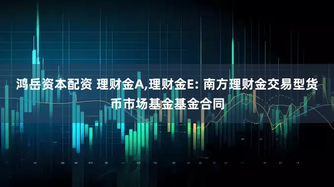 鸿岳资本配资 理财金A,理财金E: 南方理财金交易型货币市场基金基金合同