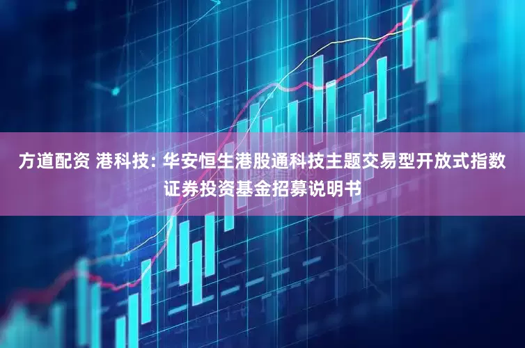 方道配资 港科技: 华安恒生港股通科技主题交易型开放式指数证券投资基金招募说明书