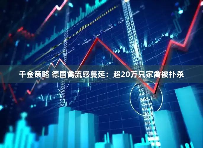 千金策略 德国禽流感蔓延：超20万只家禽被扑杀